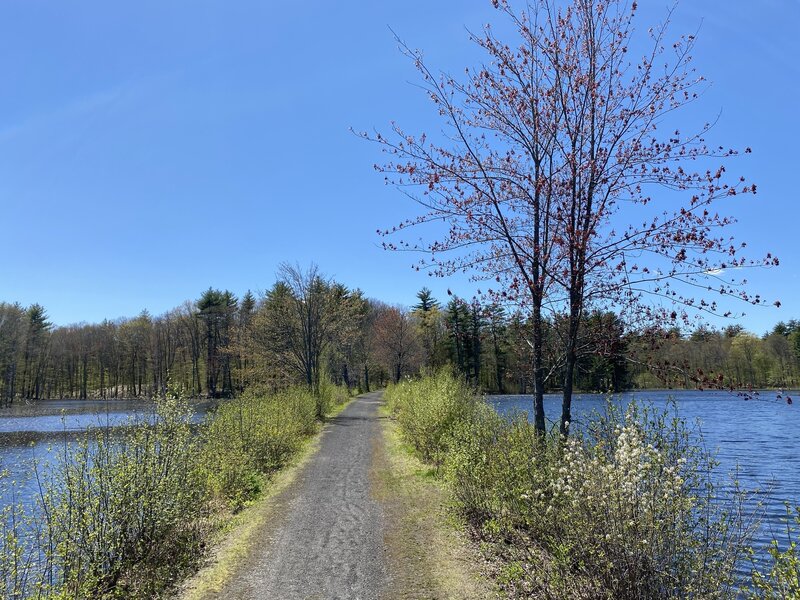 Toward the Eastern end of the trail