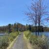 Toward the Eastern end of the trail