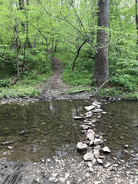 Largest of several creek crossings