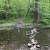 Largest of several creek crossings