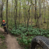 Nice trail for the entire Family. Our 7, 9, and 11 year olds all had a great time.