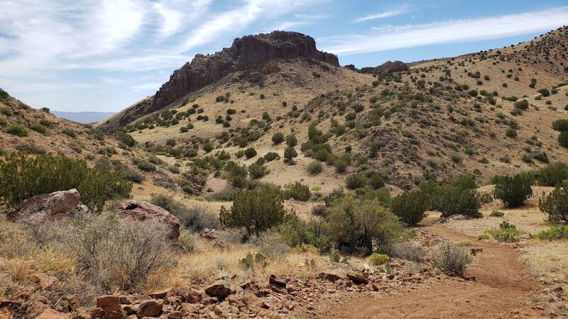 Newly cut trail and view down Black Canyon