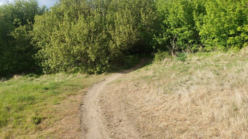 A short rocky section goes through green trees.