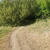 A short rocky section goes through green trees.