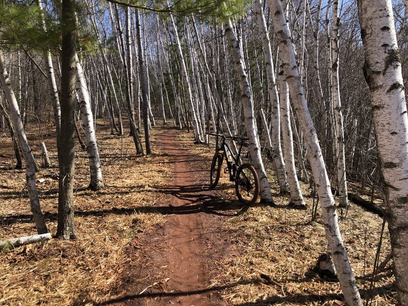 Flat pedal out from Drawpoint to link up with Galloping Goose.