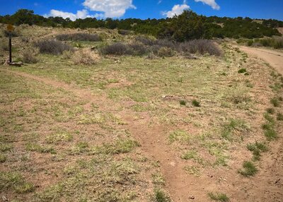 Easy to find turn for Pinon trail