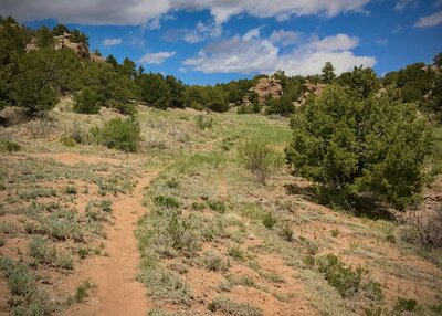 Bottom of Jicarilla trail