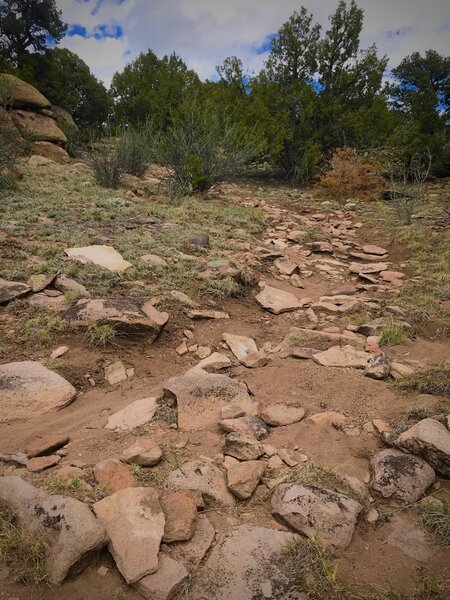 Start of washed out section of Jicarilla trail. It becomes no more than a rocky stream bed.