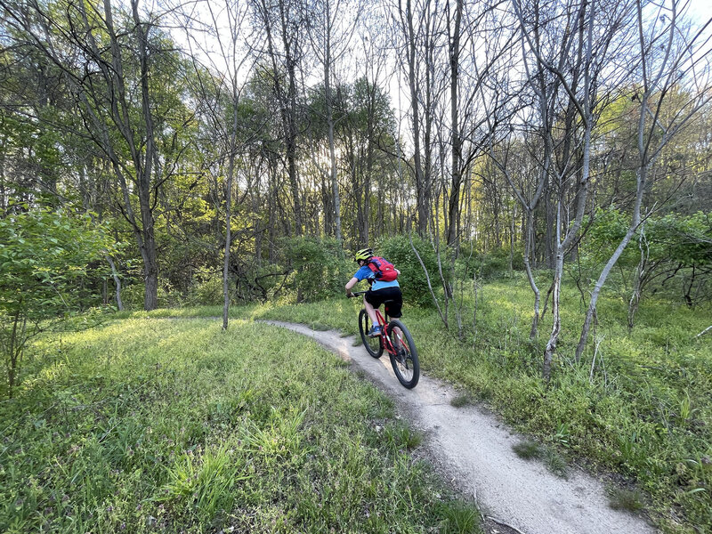 One of the best family rides in southern Michigan