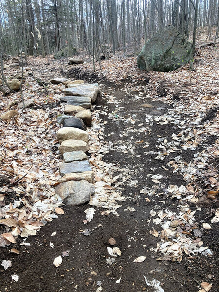 Many fun rock features on this trail!