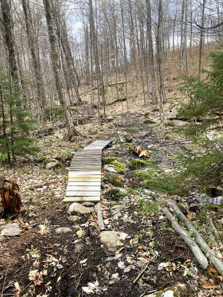 Wooden bridges to help cross a swampy area.