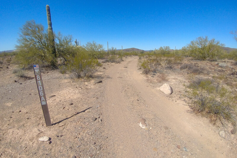 Typical terrain of Batamote Basin (8106A) - sandy/gravely hardpack with occasional babyheads.