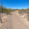 Typical terrain of Batamote Basin (8106A) - sandy/gravely hardpack with occasional babyheads.