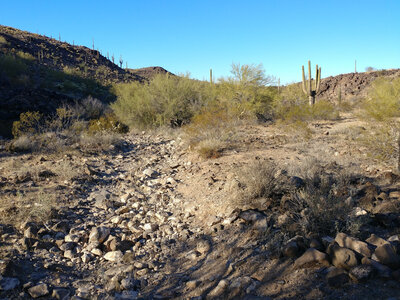 Looking N up one of several technical babyhead sections on BLM 8106 (trail on left side of image). This is best ridden by experienced riders on fatbikes, full suspension, or just dismounted and walked.