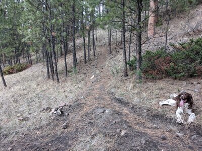 Looking up Jumbo 2 off of The HOD. Be wise take the time for a quick breather.