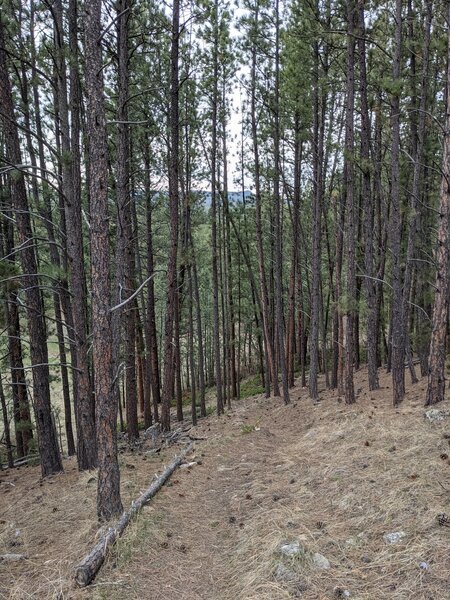 Looking down the climb out of the HOD.