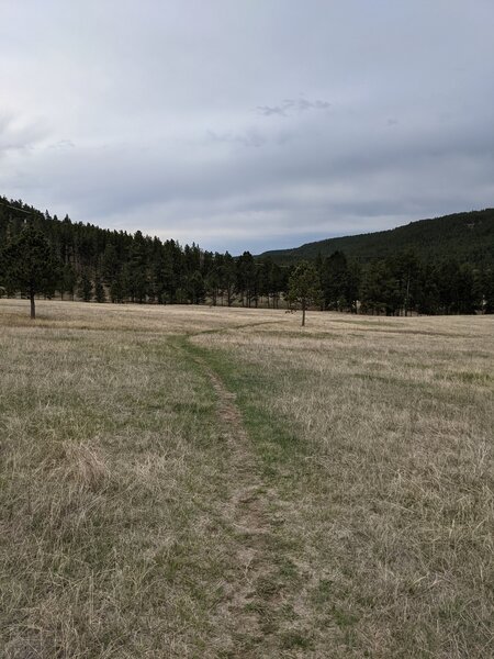 The north end of the Calf. If your heading to the trailhead its a fun fast ride. Start pedaling!