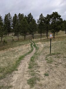 Looking back up Calf. This is right by the Trailhead.