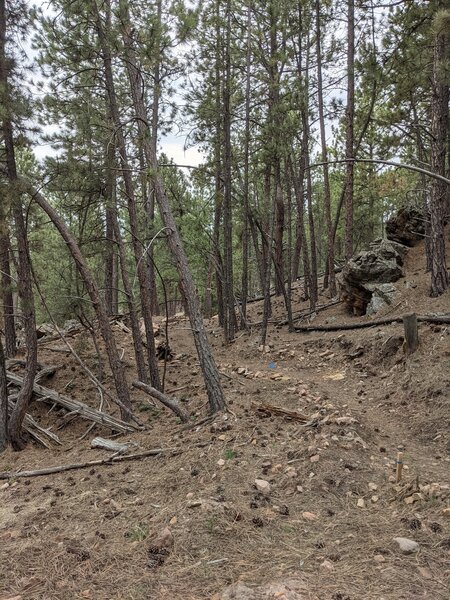 Near the top of Never Sweat. Hand dug singletrack. Also at the junction with Lasso.