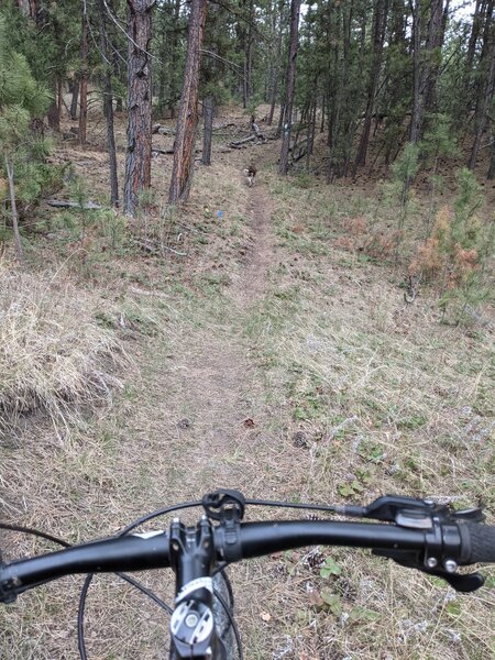 North end of Salt Creek Trail.  A hand dug singletrack.