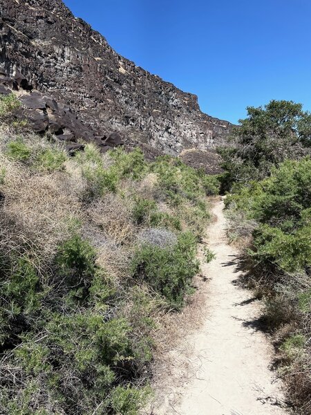 East end of the trail near the water