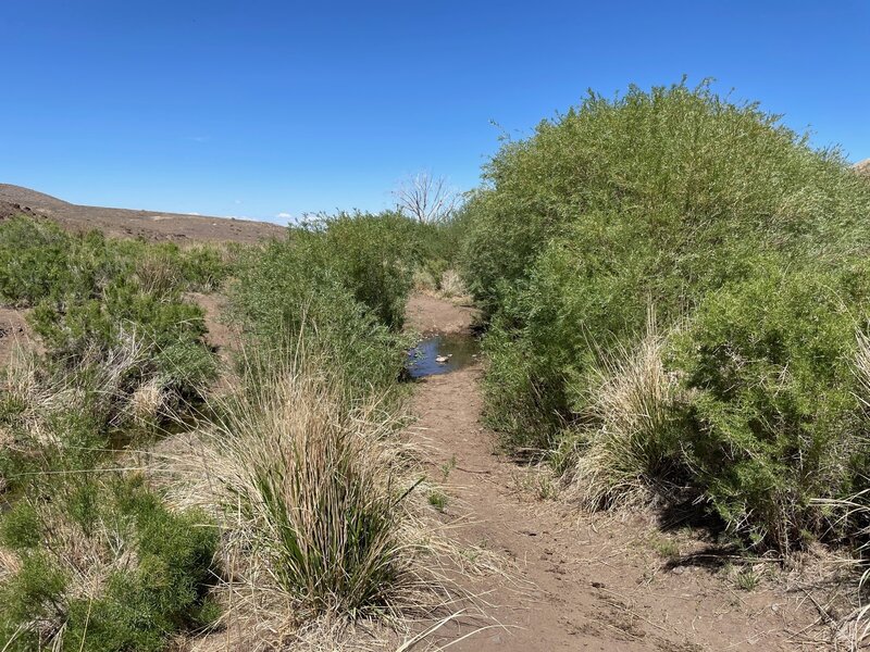 Multiple creek crossings