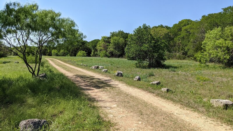 Indian Grass Prairie area, Sunset Valley, TX