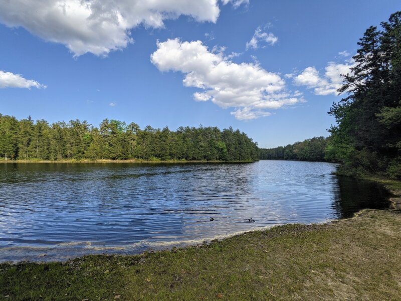 Pakim Pond near the parking lot and trailhead