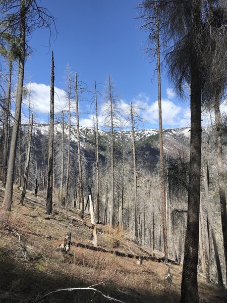 Partial View of Scott Mountain