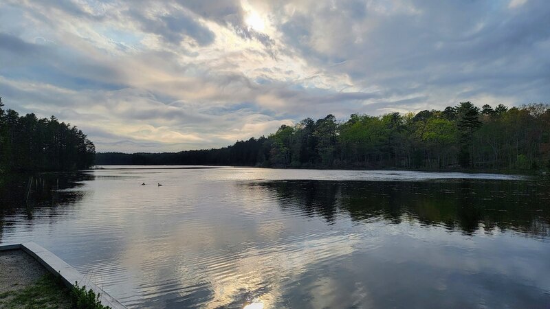 Wells Mills Pond.