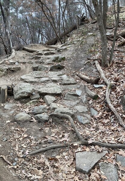 PICTURE FROM 12/20. NOT TAKEN DURING TRAIL CLOSURE. Reverse view from bottom of the rocky downhill aka the Wall of Death.