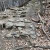 PICTURE FROM 12/20. NOT TAKEN DURING TRAIL CLOSURE. Reverse view from bottom of the rocky downhill aka the Wall of Death.