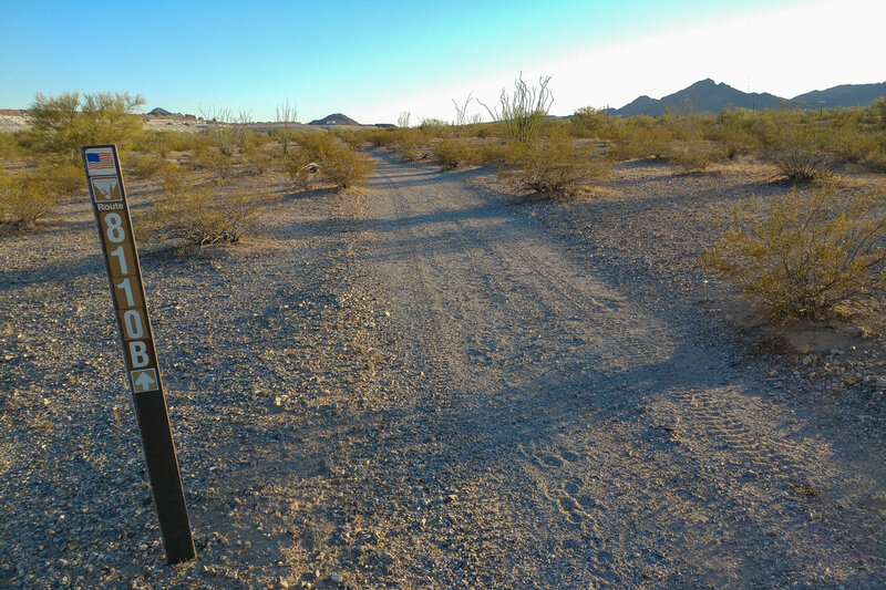 Looking SSW up Loggerhead Shrike (BLM 8110B) towards Ajo, AZ.