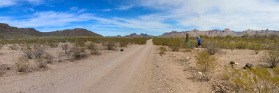 Looking NE from Burro Gap towards Coffee Pot and associated mountains, from Pipeline Road (BLM 8100). Fattire Mike taking a break near a young Saguaro cactus that is probably older than he is.