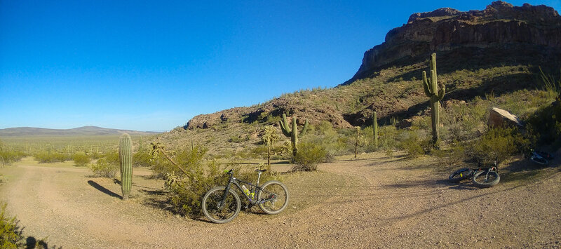 Looking N from the eastern terminus of Char's Trail.