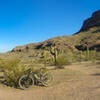 Looking N from the eastern terminus of Char's Trail.