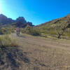 Ripping back down Char's Trail on fatbikes, April 2021.