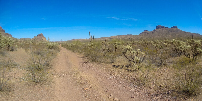 Looking N up CoffeyPot View (BLM 8103).