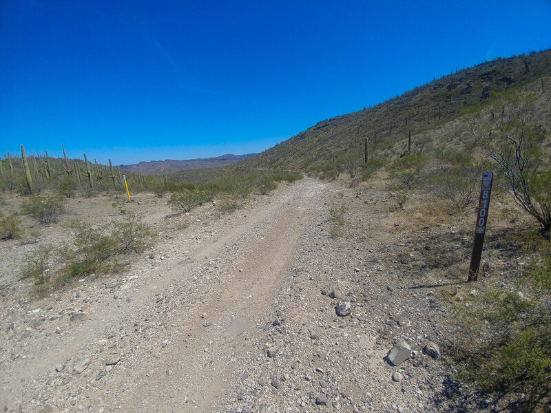 Looking NE from the top of the Pipeline Road climb (or hike!). All downhill from here...