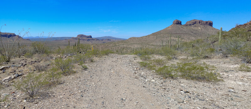 Looking back to the west from the top of the Pipeline Road climb.