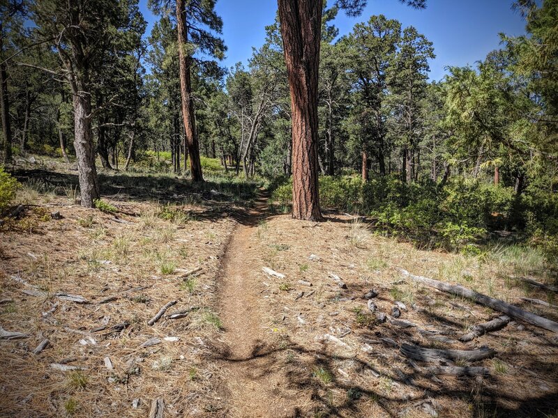 Between the few lung-busting technical steps are smooth stretches of ponderosa forest. Getting to West Boundary, however, is no small matter.