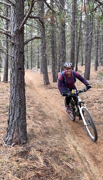 Beautiful trail with lots of twists and turns surrounded by ponderosa pines