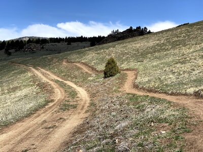 Chase Gulch road and the start of Easy Money
