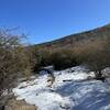 Cold Stream SingleTrack