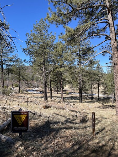 Los Caballos to Los Vaqueros Trail