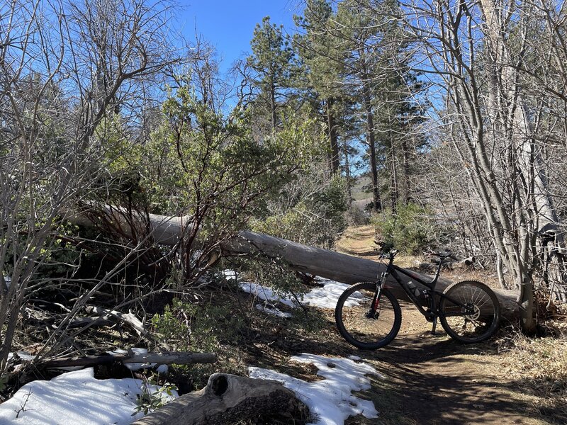 Singletrack parallel to Lake Cuyamaca