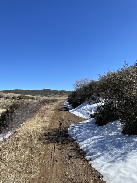 Doubletrack to Anza Boreggo