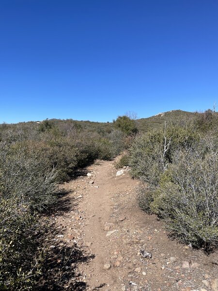 La Cima traihead to Anza Boreggo Desert State Park