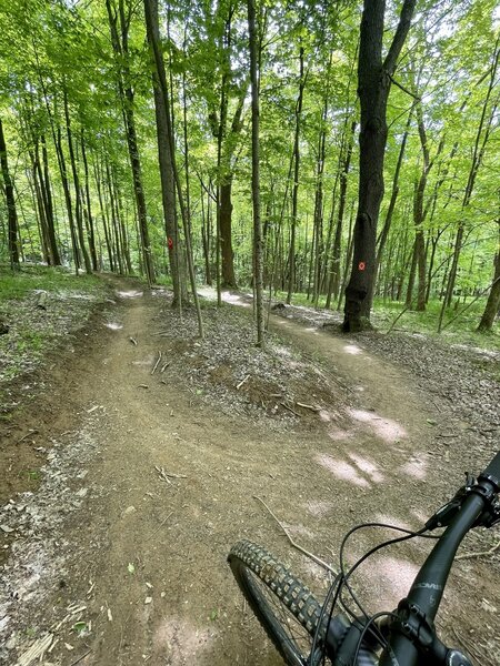 Barn Burner - This trail is a blast!