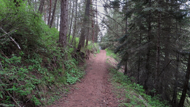 climbing up where an old train trustle was located on SE edge of the lake